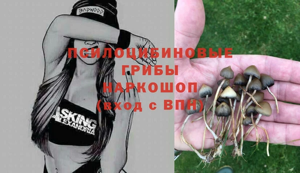 марки nbome Сосновка